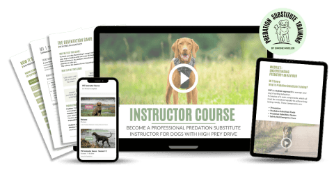 Become a PST Instructor – Waitlist 2026 Now Open