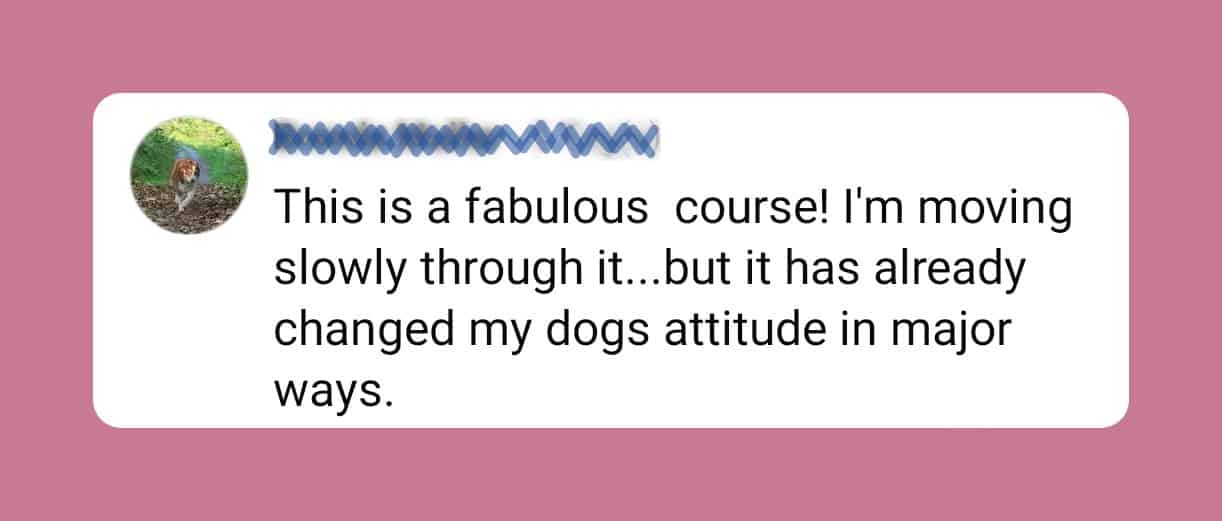 cotc-testimonial-2-v3 Testimonial: This is a fabulous course. It has already changed my dog's attitude in major ways.