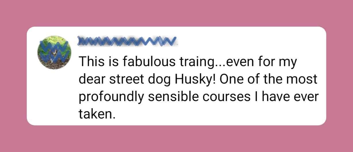cotc-testimonial-3-v3 Testimonial: This is fabulous training, even for my dear street dog Husky.