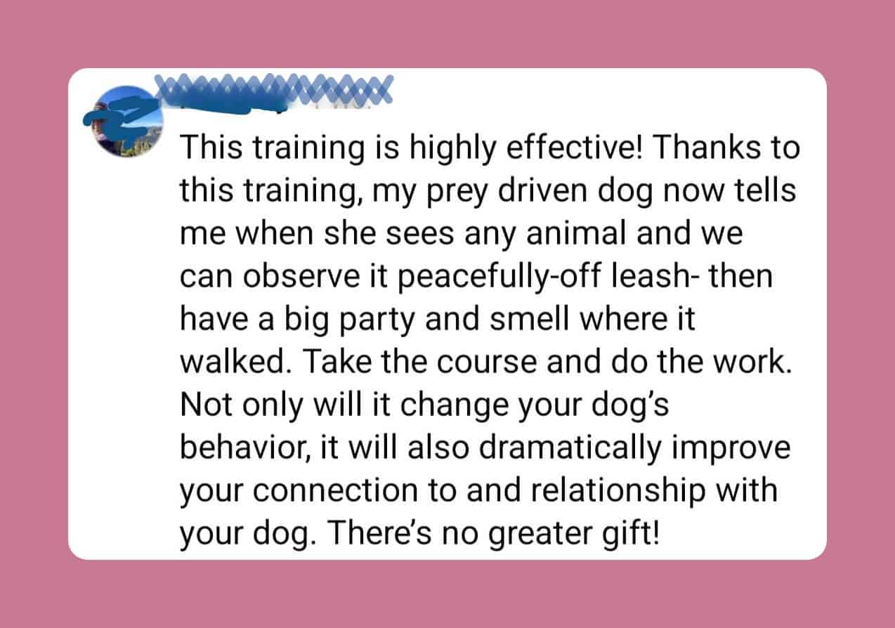 cotc-testimonial-5-v3 Testimonial: This training is highly effective. My prey driven dog now tells me when she sees any animal and we can observe it peacefully off leash.