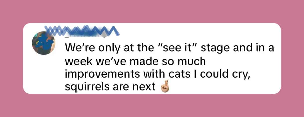 cotc-testimonial-6-v3 Testimonial: In a week we have made so much improvement with cats I could cry, squirrels are next.
