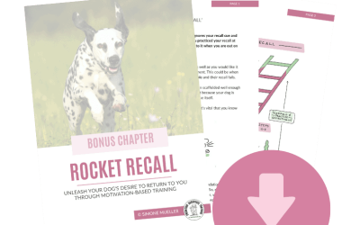 Scaffolding A Recall