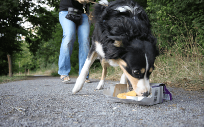 Take The Test: Do You Need “Don’t Eat That!”?